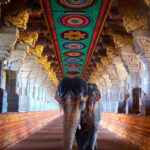 COULEURS DE L'INDE – photo 24