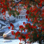 COULEURS DE L'INDE – photo 23
