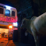 COULEURS DE L'INDE – photo 47