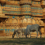 COULEURS DE L'INDE – photo 50