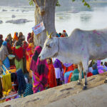 COULEURS DE L'INDE – photo 51