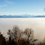 NATURE – photo 1