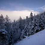 NATURE – photo 13