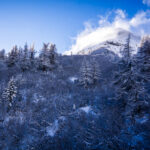 NATURE – photo 15