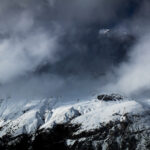 NATURE – photo 16