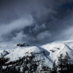 NATURE – photo 17