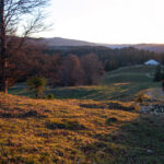 NATURE – photo 6